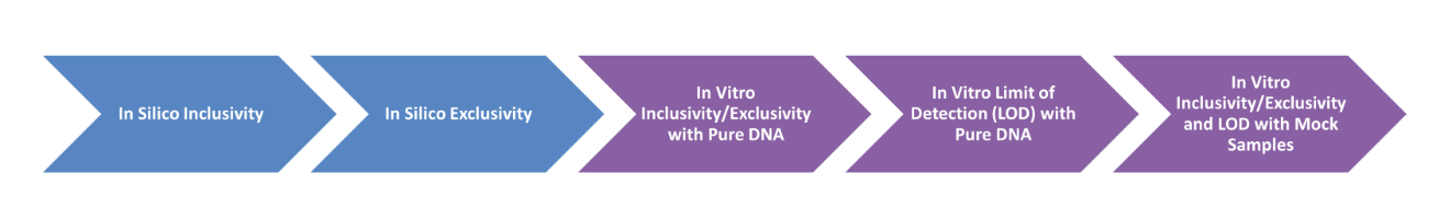 Five assay development phases from in-silico inclusivity through mock-sample testing