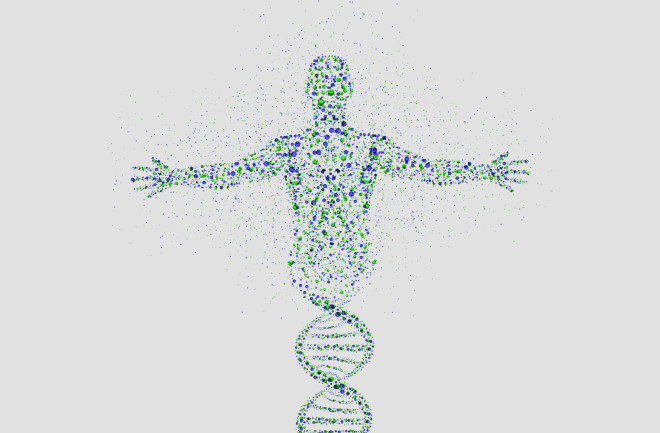 Gene designs of a human